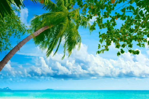 不一样风情 不一样的享受 普吉岛住宿攻略