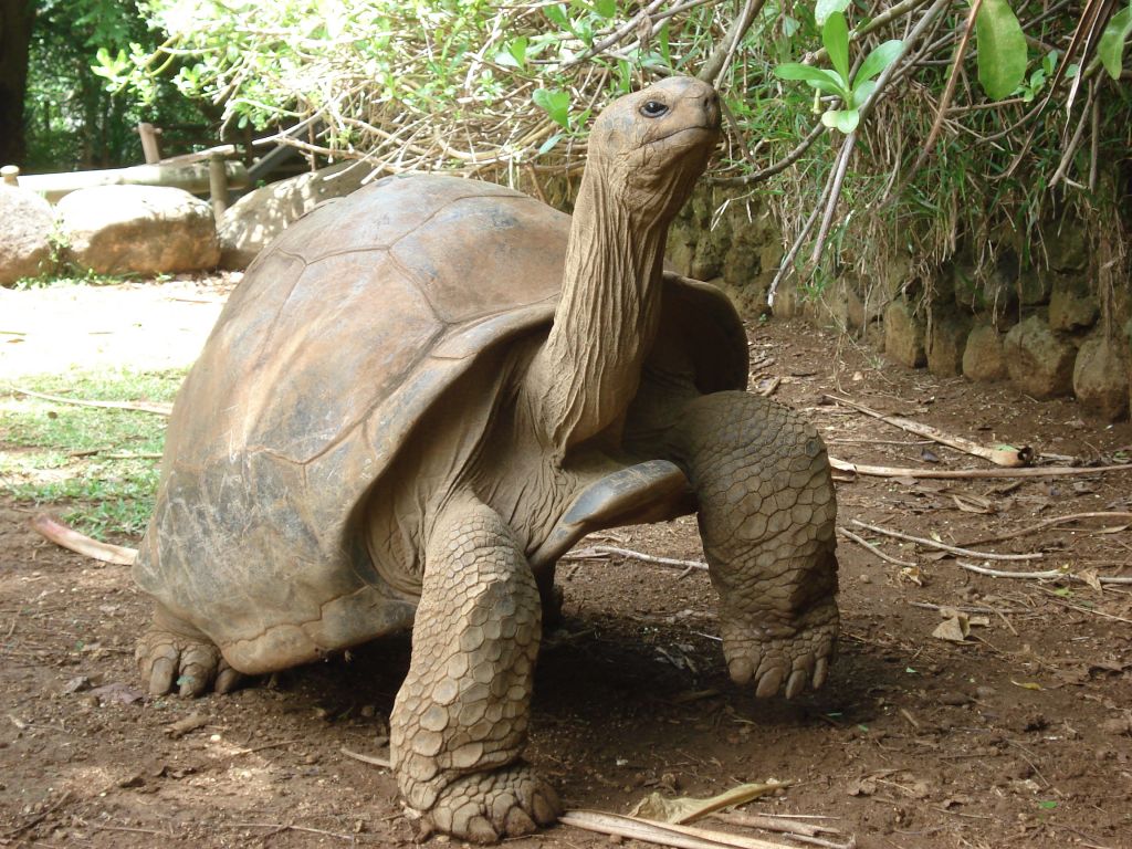 毛里求斯La Vanille动植物保护区