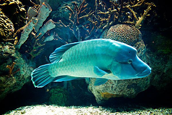 圣安妮国家海洋公园